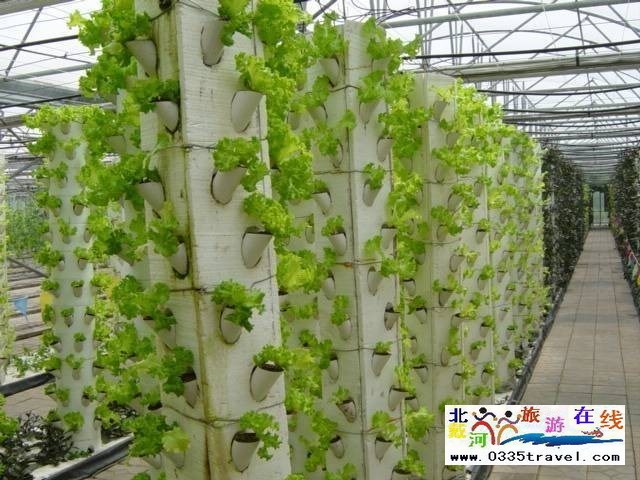 北戴河集發(fā)生態(tài)觀光園