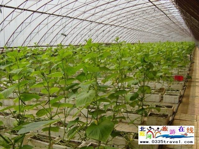 北戴河集發(fā)生態(tài)觀光園