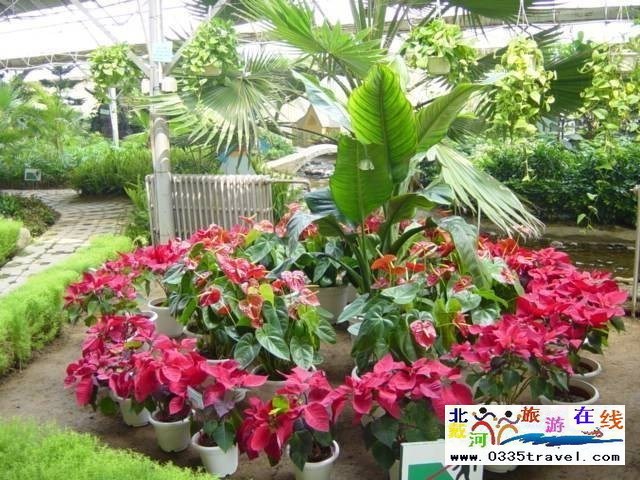 北戴河集發(fā)生態(tài)觀光園