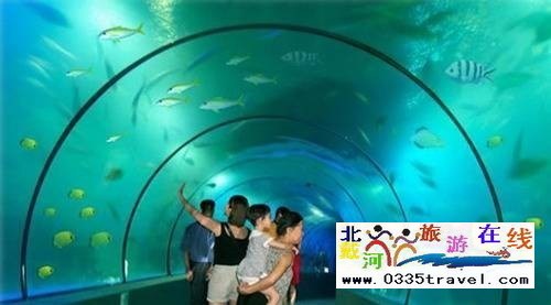 山海關(guān)樂(lè)島海洋公園