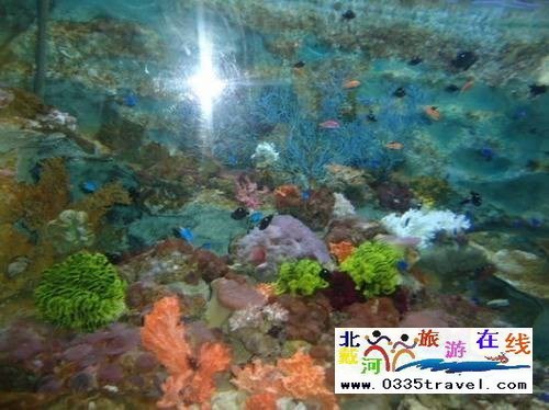 秦皇島新澳海底世界