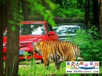 秦皇島野生動物園景點門票優(yōu)惠88元起團，一人也成團，團隊更優(yōu)惠，咨詢電話0335-3522599: