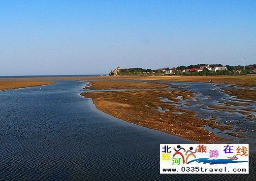 北戴河旅游攻略:北戴河觀鳥旅游精美圖片欣賞