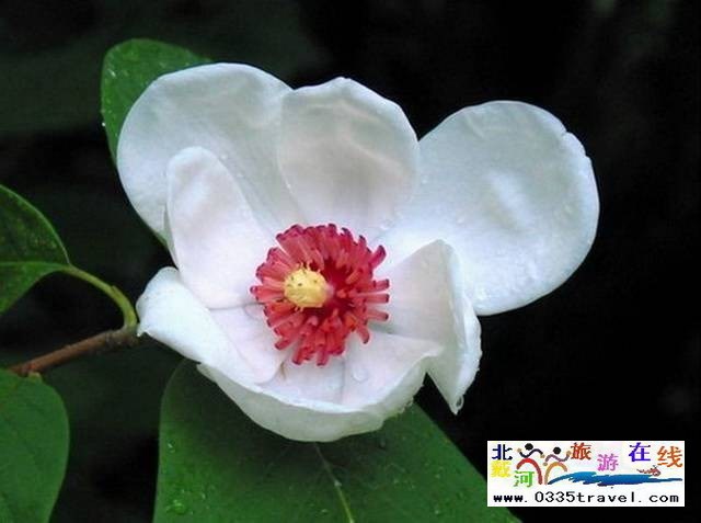 秦皇島祖山景區(qū)