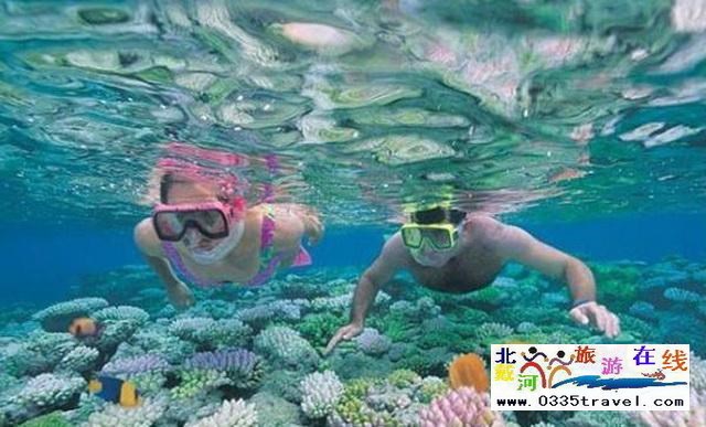 北戴河旅游在線