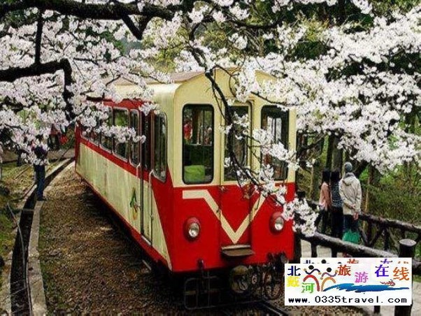 秦皇島人特惠游臺灣