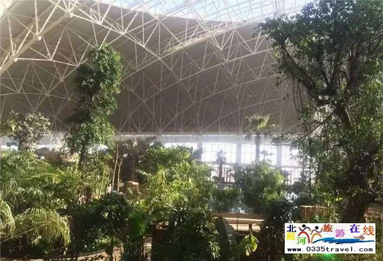 漁島菲奢爾海景溫泉酒店