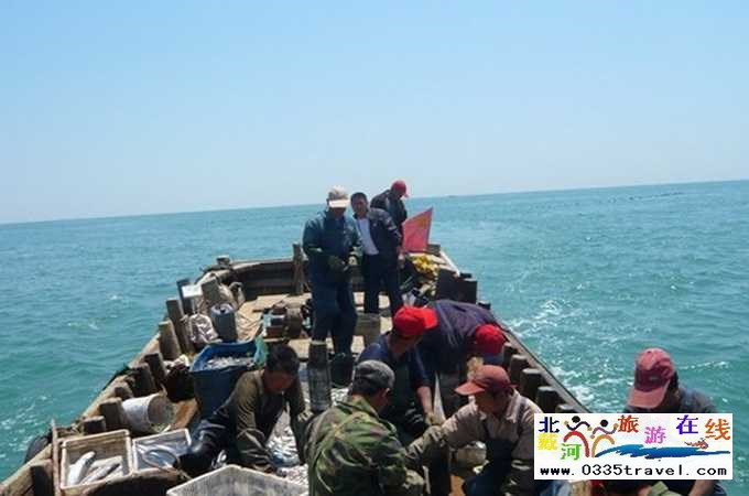 東戴河北戴河南戴河出海打漁看日出電話0335-3522599,13785079044