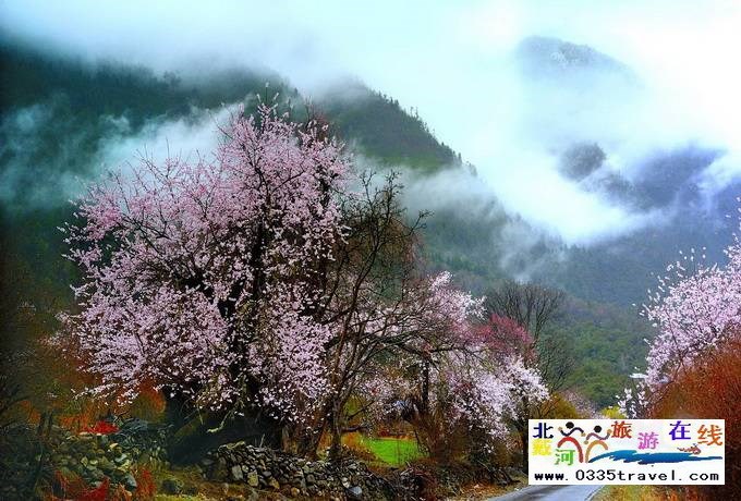 秦皇島至西藏林芝旅游必讀之西藏旅游常見問(wèn)題解答