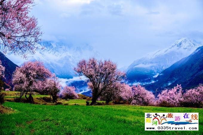 秦皇島至西藏林芝旅游必讀之西藏旅游常見問(wèn)題解答