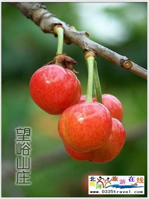 秦皇島一卡通旅游年票