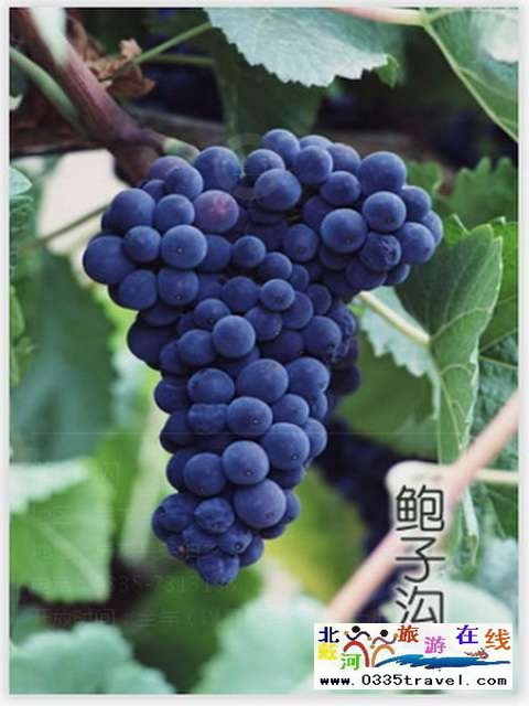 秦皇島一卡通旅游年票