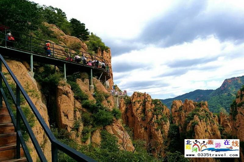 秦皇島龍?jiān)乒龋∩叫闼┚皡^(qū)電話18633570222 15703350808