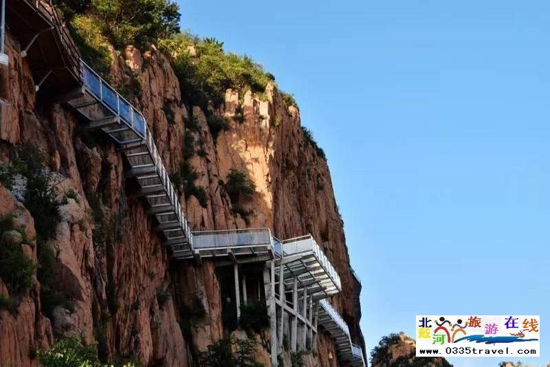 秦皇島龍?jiān)乒龋∩叫闼┚皡^(qū)電話18633570222 15703350808