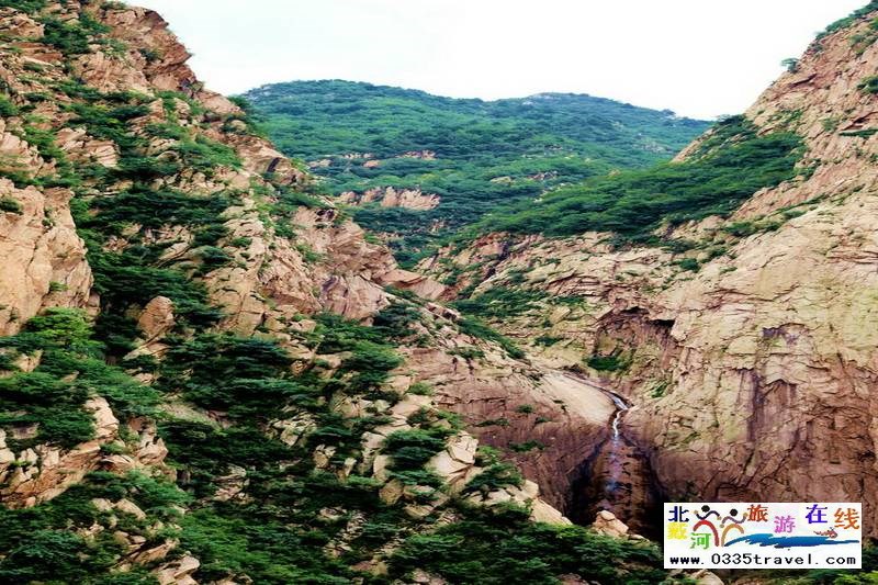 秦皇島龍?jiān)乒龋∩叫闼┚皡^(qū)電話18633570222 15703350808