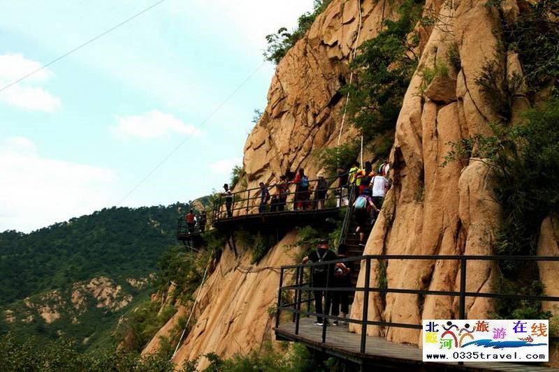 秦皇島龍?jiān)乒龋∩叫闼┚皡^(qū)電話18633570222 15703350808