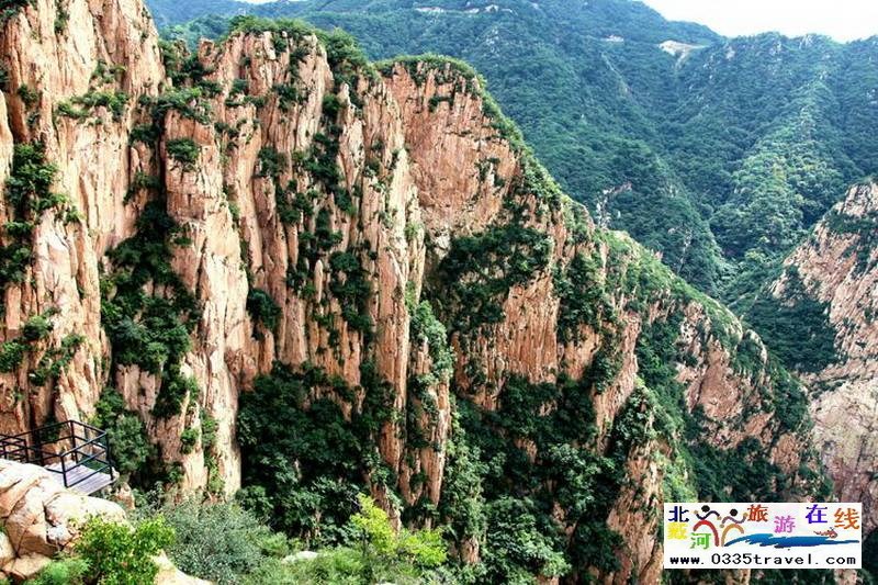 秦皇島龍?jiān)乒龋∩叫闼┚皡^(qū)電話18633570222 15703350808