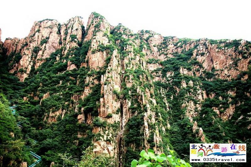 秦皇島龍?jiān)乒龋∩叫闼┚皡^(qū)電話18633570222 15703350808