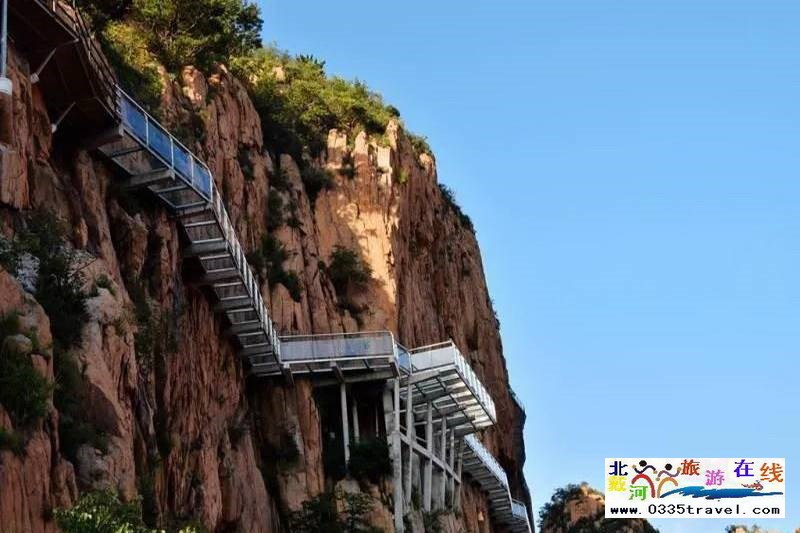 秦皇島龍?jiān)乒龋∩叫闼┚皡^(qū)電話18633570222 15703350808