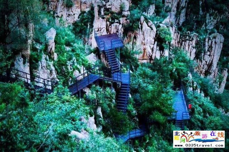 秦皇島龍?jiān)乒龋∩叫闼┚皡^(qū)電話18633570222 15703350808