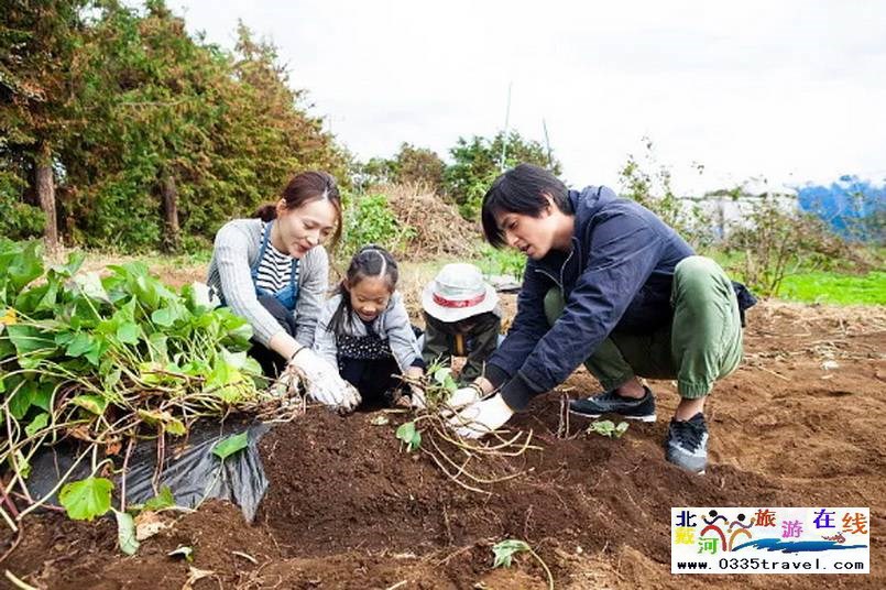 北戴河集發(fā)夢想王國電話18633570222 15703350808