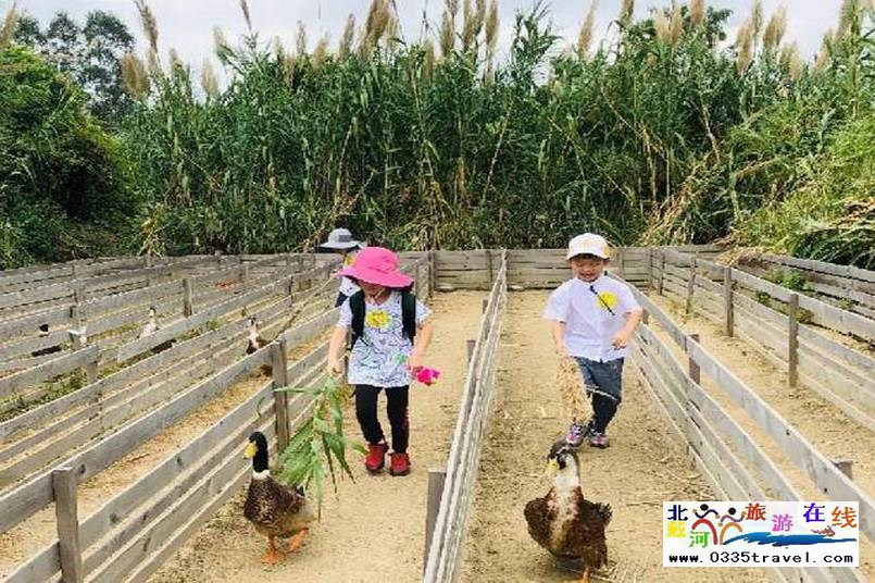 北戴河集發(fā)夢想王國電話18633570222 15703350808