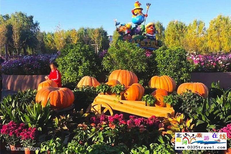 北戴河集發(fā)夢想王國電話18633570222 15703350808