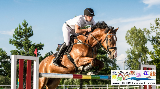 秦皇島北戴河馬術俱樂部電話18633570222
