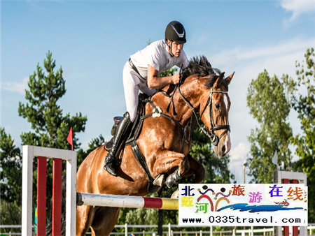 秦皇島北戴河馬術俱樂部電話18633570222
