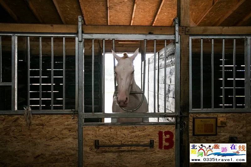 北戴河英倫國際馬術(shù)俱樂部