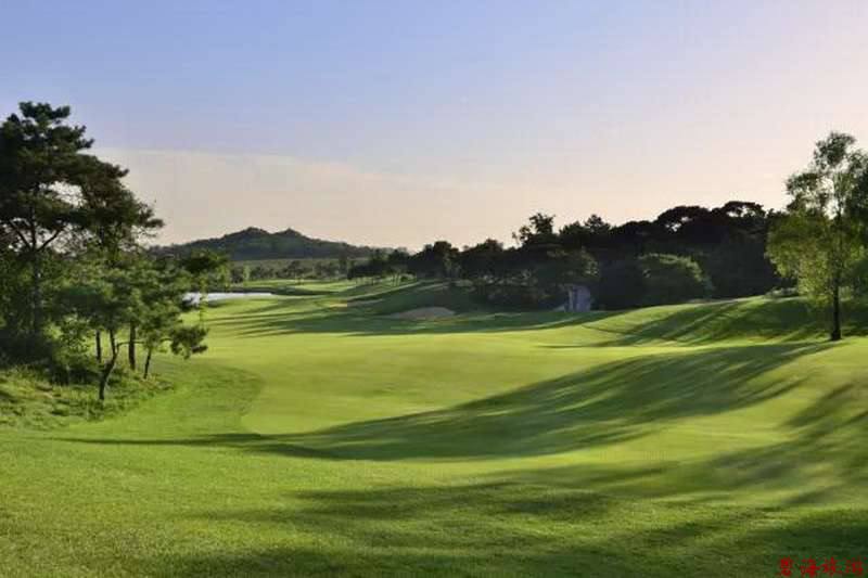 北戴河松石高爾夫/保利國(guó)際高爾夫/榮盛森林高爾夫俱樂(lè)部球場(chǎng)聯(lián)合優(yōu)惠預(yù)訂18633570222  15703350808